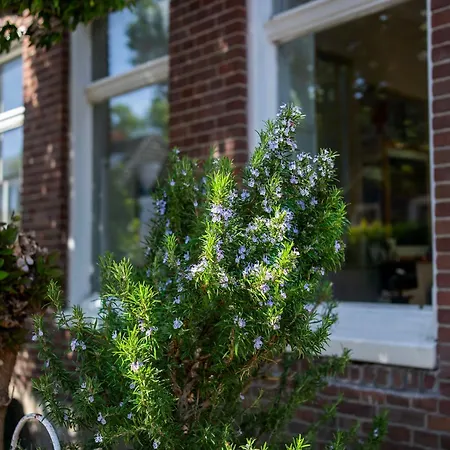 Your Own Floor In Authentic Picturesque Dikehouse Apartament Amsterdam