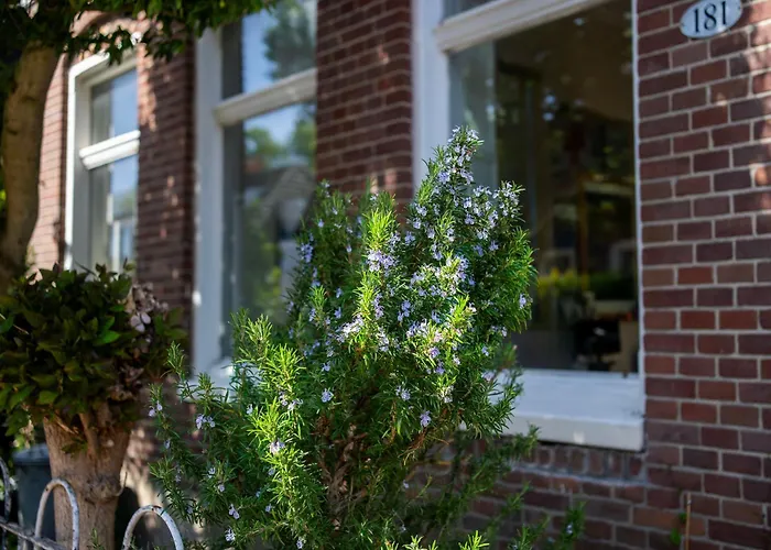 Your Own Floor In Authentic Picturesque Dikehouse - Dijkhuis181 Guest house Amsterdam